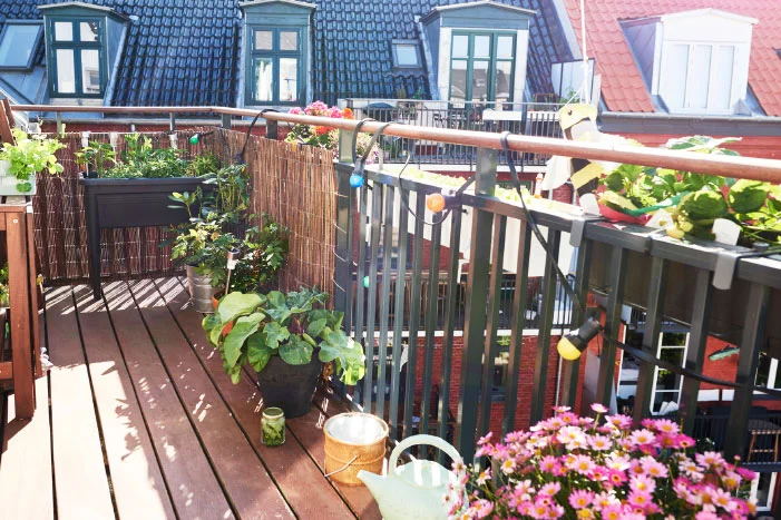 Sonniger Balkon mit Pflanzen